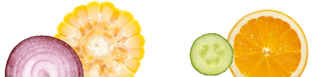 Fruit slices footer