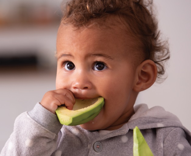 Toddler eating an avacado